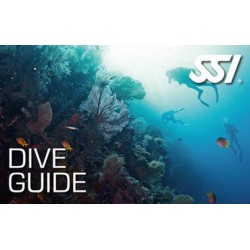 Dive Guide CIM