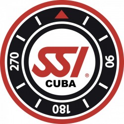 Renovación de Dive Master